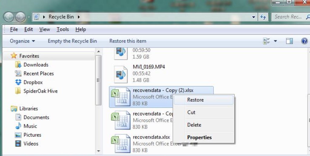 How to Recover Deleted Excel XLSX and XLS Files? RecoverXData